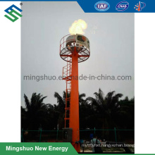 Biogas Combustion Flare Torch for Biogas Project Gas Utilization